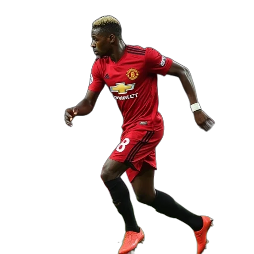 animal, cartoon, manchester, united transparent PNG cut-out