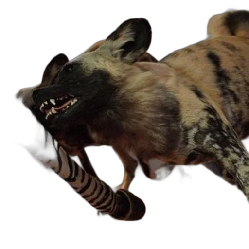animal, creature, staff, weapon, concept art, 3d render, photorealistic, taxidermy transparent PNG cut-out