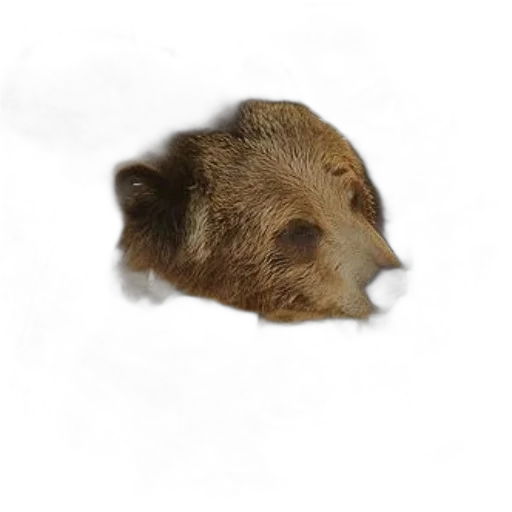 animal, face, creature, hair, photorealistic, 3d render, concept art, oil painting transparent PNG cut-out