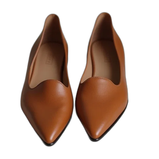 shoes, 3d render, earth tones, row, pointed, toe, leather, flats transparent PNG cut-out