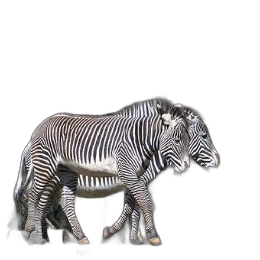 animal, creature, robot, jewelry, 3d render, concept art, photorealistic, watercolor transparent PNG cut-out