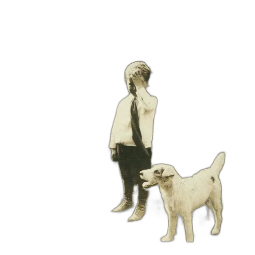 animal, staff, creature, jewelry transparent PNG cut-out