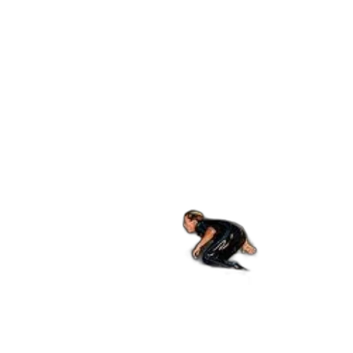 creature, animal, shoes, hair transparent PNG cut-out