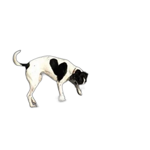 animal, staff, creature, jewelry, photorealistic, pixel art, concept art, cartoon transparent PNG cut-out