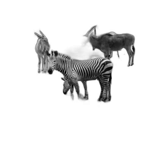 animal, creature, dragon, jewelry, concept art, 3d render, photorealistic, pencil sketch transparent PNG cut-out