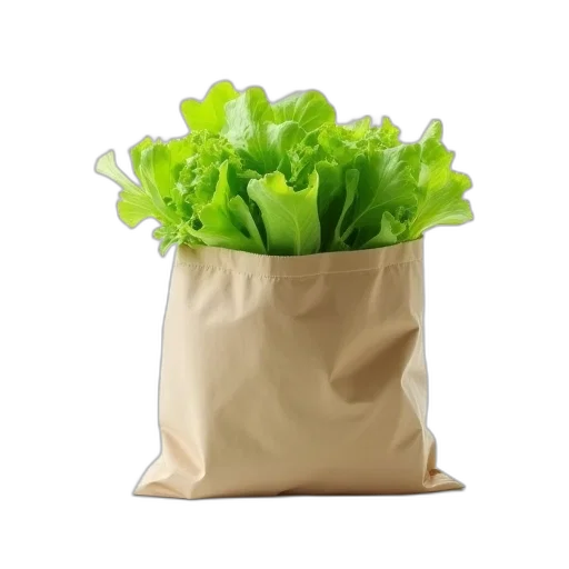 food, crown, staff, photorealistic transparent PNG cut-out