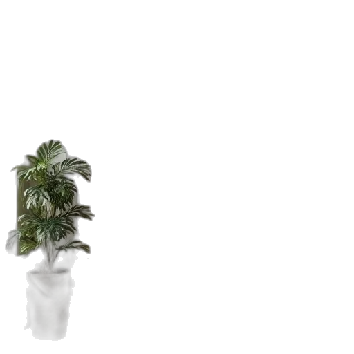 tree, crown, hat, furniture transparent PNG cut-out