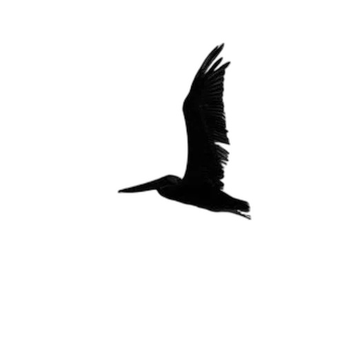 animal, creature, dragon, staff, photorealistic, concept art, pixel art, 3d render transparent PNG cut-out