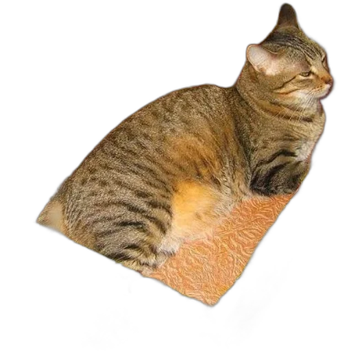 food, animal, creature, hat, photorealistic, 3d render, concept art, vaporwave transparent PNG cut-out