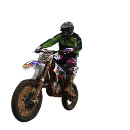 animal, jacket, 3d render, photorealistic, pixel art, concept art, motocross, rider transparent PNG cut-out