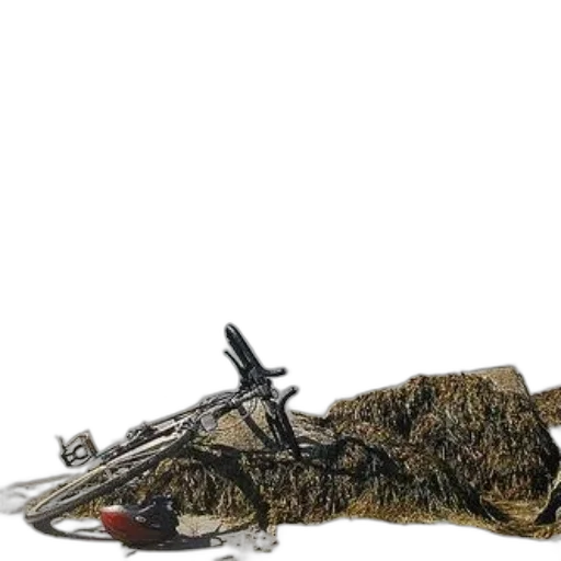weapon, animal, jacket, sword, bicycle, rests, beach, lighthouse transparent PNG cut-out