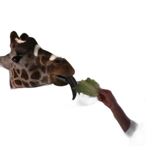 animal, umbrella, staff, food, 3d render, photorealistic, concept art, fire transparent PNG cut-out