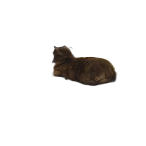 animal, creature, staff, furniture, photorealistic, 3d render, cat, sits transparent PNG cut-out