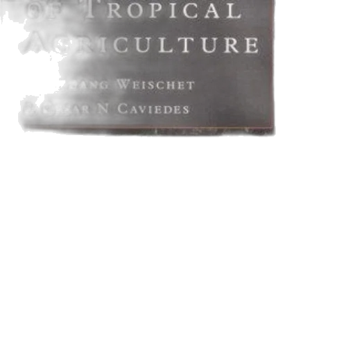 food, weapon, tree, earth tones, cover, economics, tropical, agriculture transparent PNG cut-out