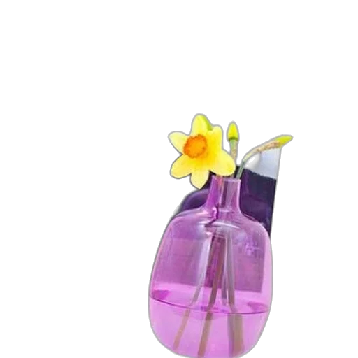bottle, flower, dress, jewelry, 3d render, photorealistic, concept art, vaporwave transparent PNG cut-out