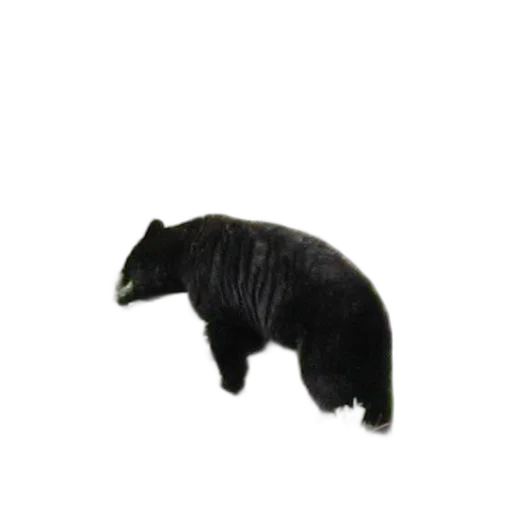 animal, hair, creature, staff, 3d render, photorealistic, concept art, pixel art transparent PNG cut-out