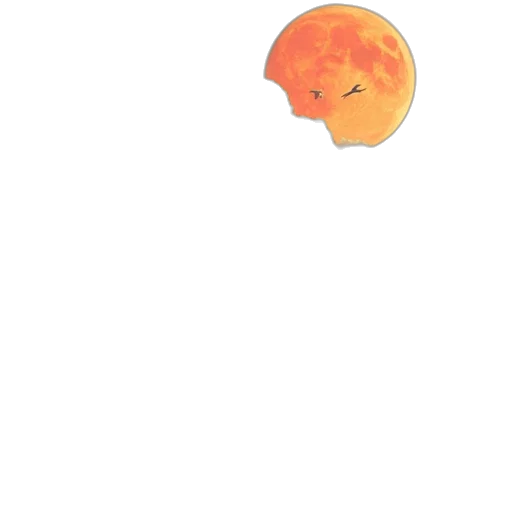 creature, animal, face, hat transparent PNG cut-out