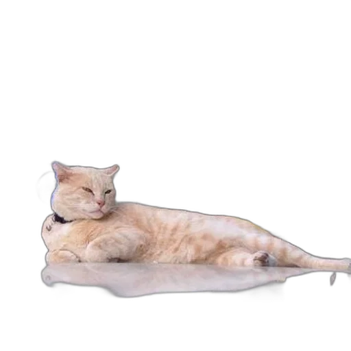 animal, creature, staff, furniture, photorealistic, 3d render, concept art, fluffy transparent PNG cut-out