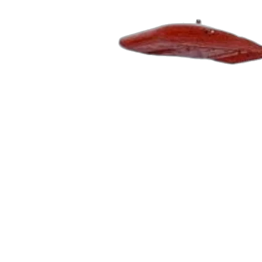 hat, food, umbrella, shoes, 3d render, photorealistic, concept art, outer space transparent PNG cut-out