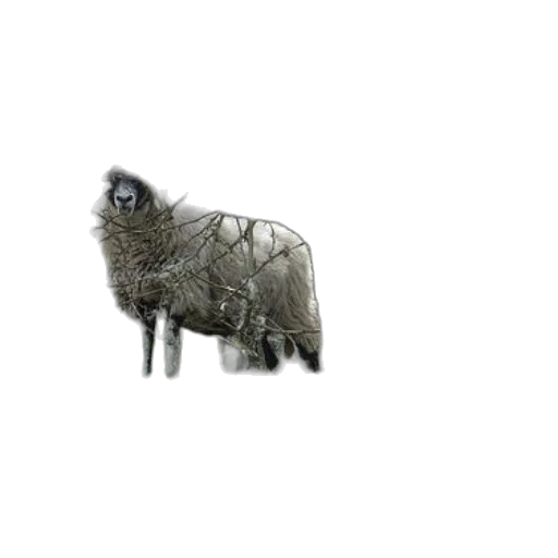 animal, creature, staff, 3d render, pixel art, photorealistic, concept art, two transparent PNG cut-out