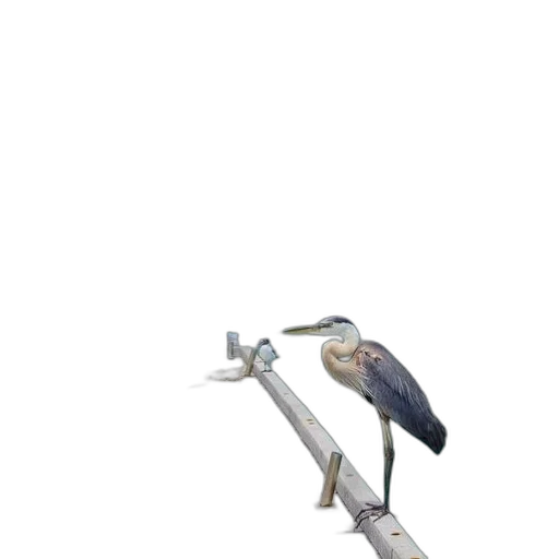sword, weapon, staff, animal, 3d render, concept art, photorealistic, vaporwave transparent PNG cut-out