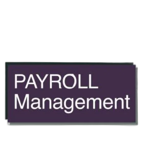 staff, pastel, payroll, management, 2015, edition, book, cover transparent PNG cut-out