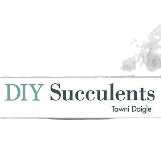 diy, succulents, book, cover, featuring, succulent, arrangements, various transparent PNG cut-out