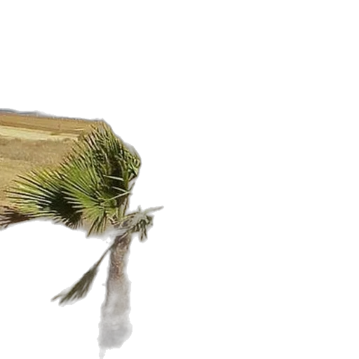 animal, hair, creature, hat, 3d render, photorealistic, concept art, watercolor transparent PNG cut-out