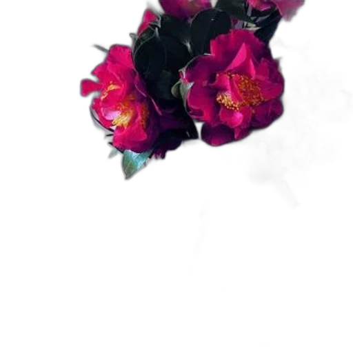 flower, crown, jewelry, weapon, photorealistic, 3d render, vaporwave, pixel art transparent PNG cut-out