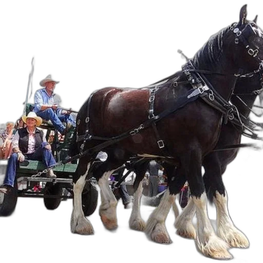 animal, staff, car, photorealistic, oil painting, two, men, cowboy transparent PNG cut-out
