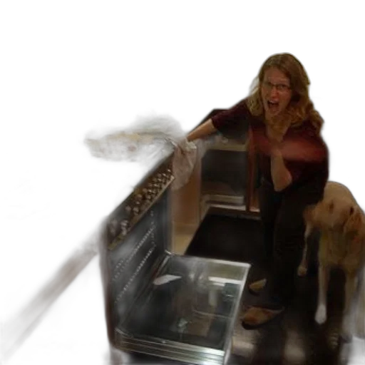 underwater, outer space, snow, woman, kitchen, open, oven, dog transparent PNG cut-out