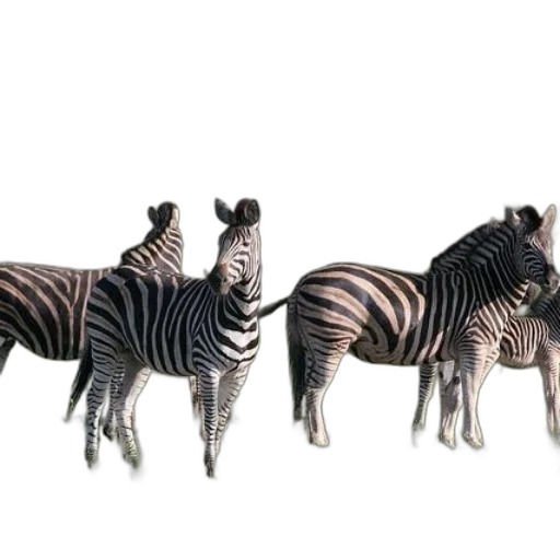 animal, creature, furniture, jewelry, 3d render, concept art, photorealistic, fantasy art transparent PNG cut-out