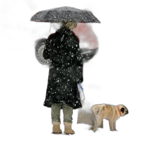 umbrella, animal, photorealistic, 3d render transparent PNG cut-out