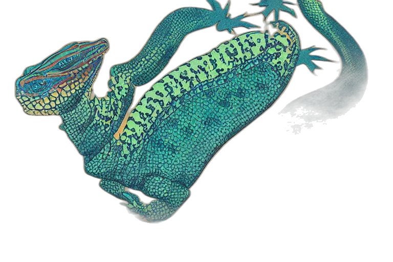 dragon, animal, creature, watercolor transparent PNG cut-out