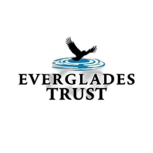 image, features, stylized, logo, everglades, trust, non-profit, organization transparent PNG cut-out