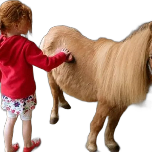 animal, hair, creature, photorealistic, young, girl, red, hoodie transparent PNG cut-out