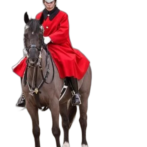 jacket, animal, hat, staff, photorealistic, concept art, 3d render, red transparent PNG cut-out
