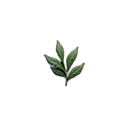 tree, flower, crown, staff transparent PNG cut-out