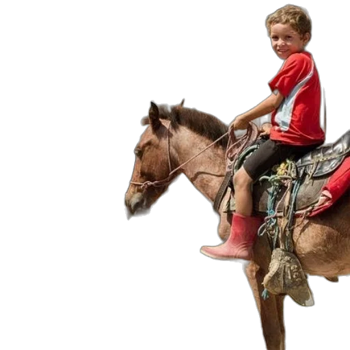 photorealistic, young, boy, rides, horse, while, man, stands transparent PNG cut-out