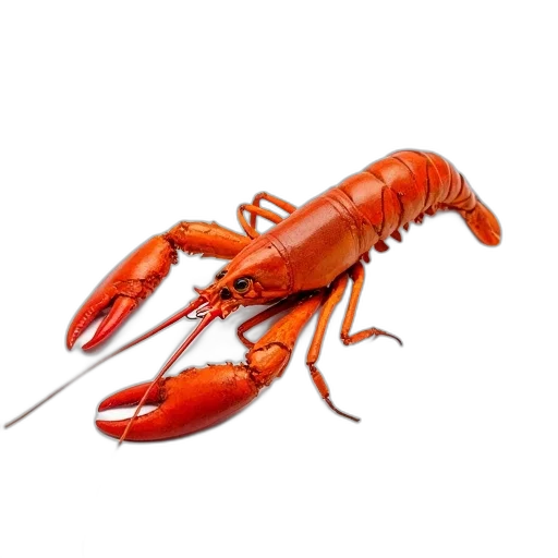 animal, food, creature, weapon, 3d render, photorealistic, concept art, boiled transparent PNG cut-out