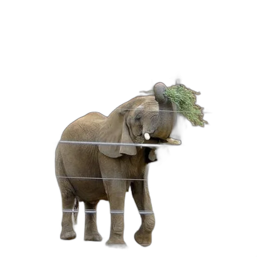 animal, hat, creature, staff, 3d render, concept art, photorealistic, forest transparent PNG cut-out