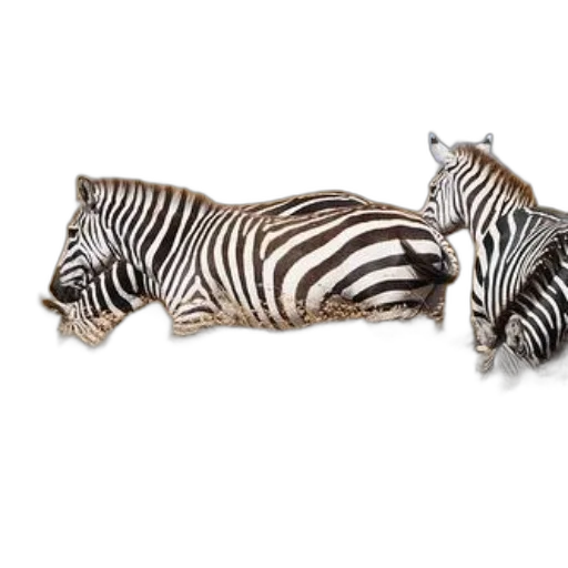 animal, furniture, jewelry, shoes, 3d render, photorealistic, concept art, monochrome transparent PNG cut-out