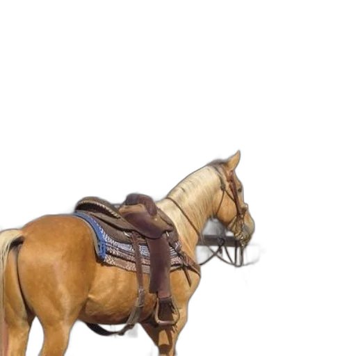 staff, hat, animal, weapon, photorealistic, concept art, 3d render, fantasy art transparent PNG cut-out
