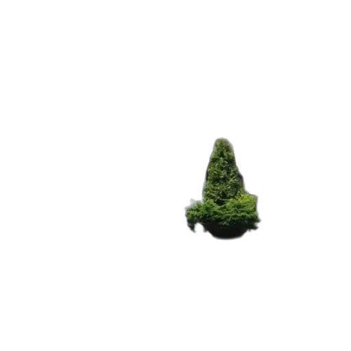 tree, crown, hair, creature, 3d render, pixel art, photorealistic, concept art transparent PNG cut-out