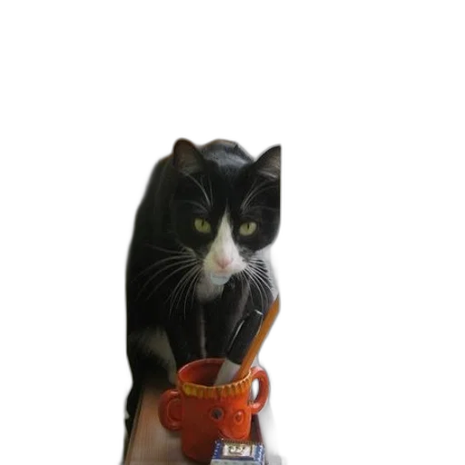 staff, animal, food, bottle, 3d render, photorealistic, concept art, oil painting transparent PNG cut-out