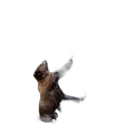 animal, staff, creature, hair, photorealistic, 3d render, concept art, snow transparent PNG cut-out