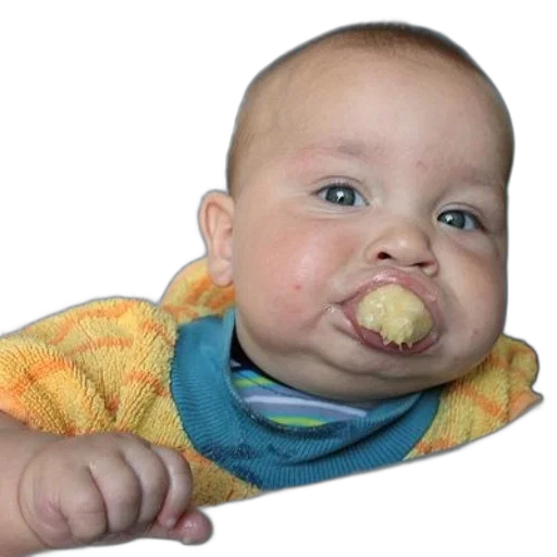 food, face, creature, animal, photorealistic, 3d render, baby, high transparent PNG cut-out