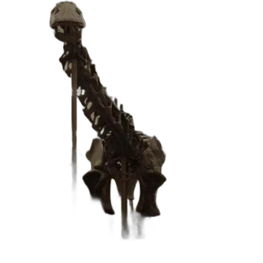 staff, animal, jewelry, weapon, 3d render, concept art, dinosaur, skeleton transparent PNG cut-out
