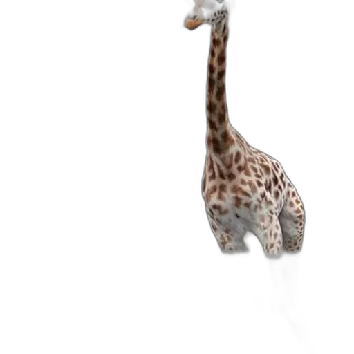 animal, creature, staff, hat, 3d render, concept art, photorealistic, pixel art transparent PNG cut-out