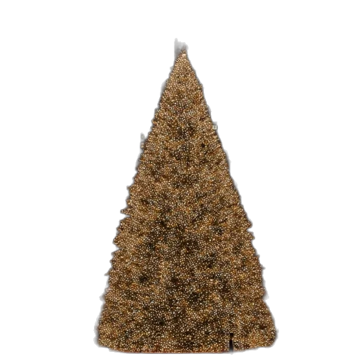 hat, tree, hair, crown transparent PNG cut-out